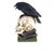Poe's Raven Skull- side view
