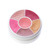 Lip Gloss Wheel (6 Colors)