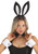 Sexy Bunny Kit- worn by model