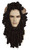 Lion Wig