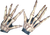 Skeleton Hands (Bone-Colored)