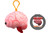 Brain Organ Keychain- With Informational Tag