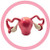 Uterus Model