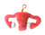 Back of Uterus Keychain