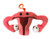 Uterus Keychain