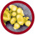 spanish flu under the microscope