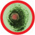 Herpes simplex virus-1