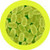 Bordetella pertussis