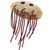 E. Coli- Side View