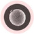 Egg Cell/ Human Ovum- Under Microscope