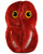 Flesh Eating Streptococcus- Front View
