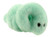 Lyme Disease- Front View
