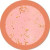 Pimple/ Acne- Microscope View