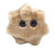 Rotavirus Plushie