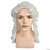 Men's Judge Wigs- white