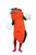 Carrot Costume