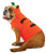 It's the Great PUPkin Charlie Brown! Orange pumpkin shirt with black jack-o-lantern cutout design on back. Orange hood with pumpkin stem and leaf detailing.