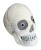 skull plushie angled view