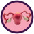 illustration of a real uterus