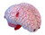 deluxe brain plushie zipped closed angled view