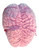 deluxe brain plushie zipped closed top view
