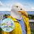 Seagull Mask