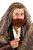 The Hobbit- Thorin Oakenshield Beard & Wig