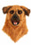 Dog Mouth Mover Mask- front view