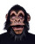 Super Action Chimp Mask- front view, mouth open