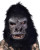 Two Bit Roar Gorilla Costume Kit- mask close up