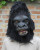 Tree Hugger Gorilla Mask- front view