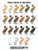 Endura Hair & Beard & Brow Packs- color options