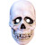 Don Post - Skull Plastic Mask- front view