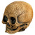 Illusive Concepts - Cranial Skull Mask- left angled view