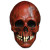 Nightowl Skull Mask - Blood