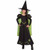 WIZ OF OZ WICKED WITCH TODDLER