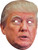 TRUMP CANDIDATE PAPER MASK