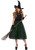 Darling Spellcaster Witch Costume- front view 2