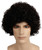 STYLE 100 CURLY WIG