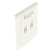 Panduit 1PK WHT FACE PLATE 2PORT SINGLE - CFPH2WH