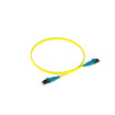 Panduit OS2 2F 1.6MM PC OFNR PUSHPULL - F92ERQ1Q1SNM1.5