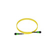 Panduit OS2 12F INTERCONNECT LSZH MPO F - F9TRL5N5NANM010