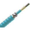 Panduit 50UM OM3 6 FBR INDR-OTDR CENTRA - FOCRX06Y