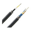 Panduit OM4 6F ARMORED TUBE CABLE OFCP - FOGPZ06Y