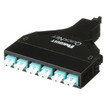 Panduit FQXO-12-10AF