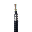 Panduit SINGLEMODE 12-FBR IC PLEN PANMP O FEM POLB 43FT PK 1 - FR9TP77B001F043
