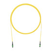Panduit S12-FI PANMPOFE- POLA OIL 100FT PK1 - FR9TP77X001F100