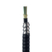 Panduit 1PK 6FIBER INDOOR ARMORED CABLE - FSPR906Y