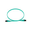 Panduit 1PK 3M 2FIBER OM4 1.6MM PATCH - FZ2ERQ1Q1NNM003