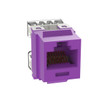 Panduit NK CAT 5E PUNCHDOWN JACK MOD - NKP5E88MBU